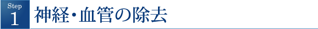 神経・血管の除去