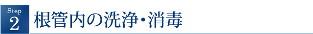 根管内の洗浄・消毒